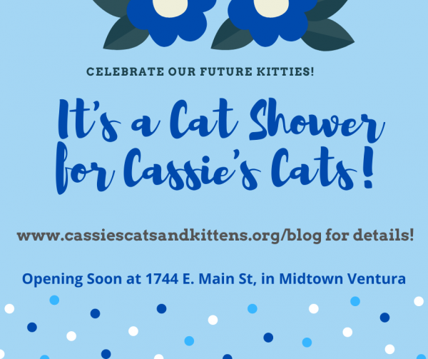 Grand Opening “Cat Shower” Cassie's Cats