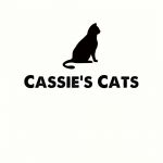 Adoptable Cats Cassie S Cats